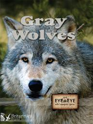 Icon image Gray Wolves
