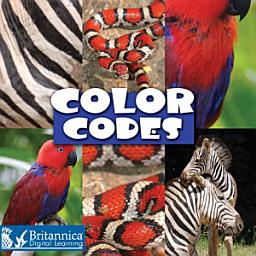 Icon image Color Codes