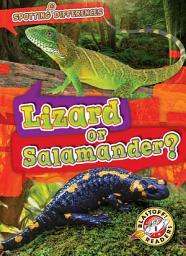 Icon image Lizard or Salamander?