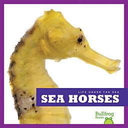 Icon image Sea Horses