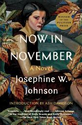 Icon image Now in November: A Novel
