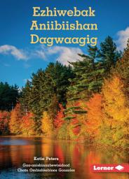 Icon image Ezhiwebak Aniibiishan Dagwaagig (Trees in Fall)