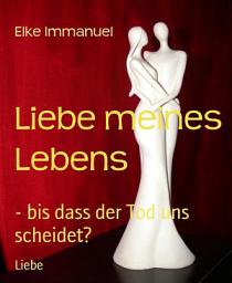 Icon image Liebe meines Lebens: - bis dass der Tod uns scheidet?