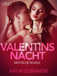 Icon image Valentinsnacht: Erotische Novelle