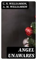 Icon image Angel Unawares: A Story of Christmas Eve