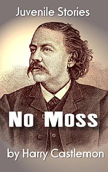 Icon image