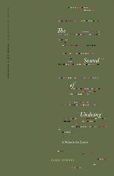 Icon image The Sound of Undoing: A Memoir in Essays