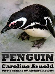 Icon image Penguin