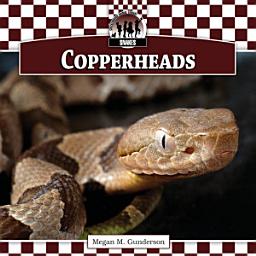Icon image Copperheads