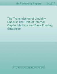 Icon image The Transmission of Liquidity Shocks: The Role of Internal Capital Markets and Bank Funding Strategies