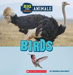 Icon image Birds (Wild World: Big and Small Animals)