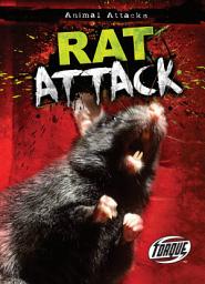 Icon image Rat Attack