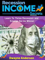 Icon image Recession Income Secrets