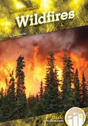 Icon image Wildfires