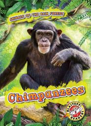 Icon image Chimpanzees