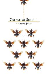 Icon image Crowd of Sounds
