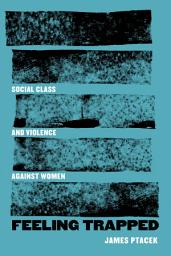 Icon image Feeling Trapped: Social Class and Violence against Women