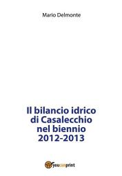 Icon image Il bilancio idrico di Casalecchio nel biennio 2012-2013