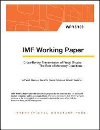 Icon image Cross-Border Transmission of Fiscal Shocks: The Role of Monetary Conditions
