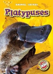 Icon image Platypuses