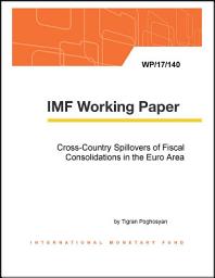 Icon image Cross-Country Spillovers of Fiscal Consolidations in the Euro Area