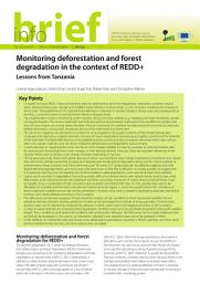 Icon image Monitoring deforestation and forest degradation in the context of REDD+: Lessons from Tanzania