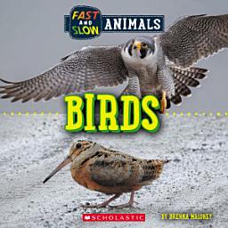 Icon image Birds (Wild World: Fast and Slow Animals)