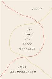 Icon image The Story of a Brief Marriage: A Novel