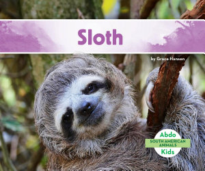 Icon image