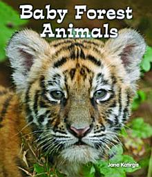 Icon image Baby Forest Animals