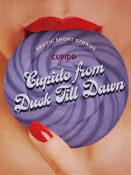 Icon image Cupido from Dusk Till Dawn: A Collection of the Best Erotic Short Stories