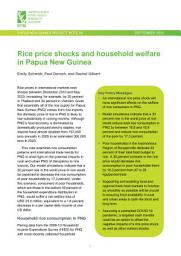 Icon image Rice price shocks and household welfare in Papua New Guinea