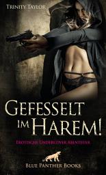 Icon image Gefesselt im Harem! Erotische Undercover Abenteuer: Terry hat immer ein erotisches Ass im Ärmel ... die Waffen einer Frau!, Ausgabe 2