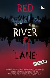 Icon image Red River Lane: Slate: Band 2