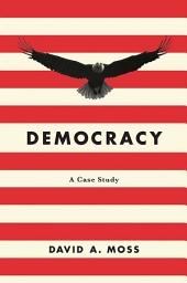 Icon image Democracy: A Case Study