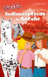 Icon image Bibi & Tina – Indianerpferde in Gefahr: Roman