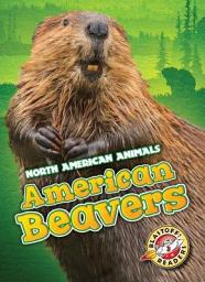 Icon image American Beavers