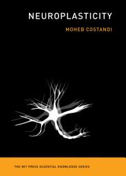 Icon image Neuroplasticity