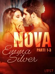 Icon image Nova 1-3 - erotic noir