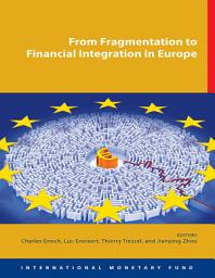Icon image From Fragmentation to Financial Integration in Europe