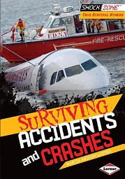 Icon image Surviving Accidents and Crashes
