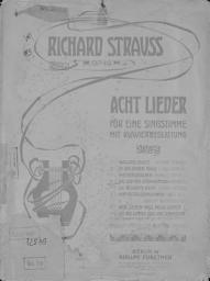 Icon image Das Lied des Steinklopfers