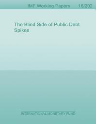 Icon image The Blind Side of Public Debt Spikes