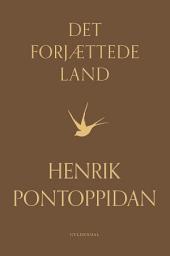 Icon image Det forjættede land, 2. del: Det forjættede land