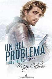 Icon image Un bel problema