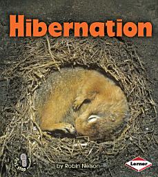 Icon image Hibernation