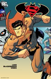 Icon image Superman/Batman