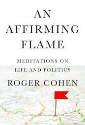 Icon image An Affirming Flame: Meditations on Life and Politics
