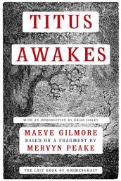 Icon image Titus Awakes: The Lost Book of Gormenghast