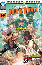 Icon image Young Justice (2019)